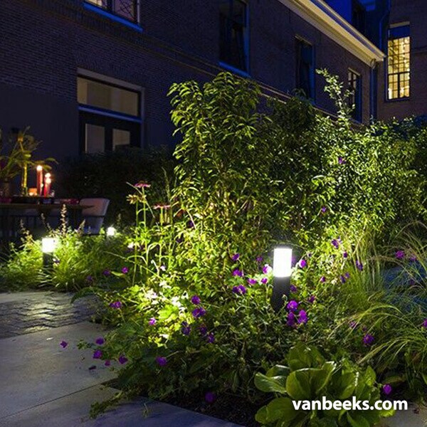 in-lite LIV Low 12v Preview